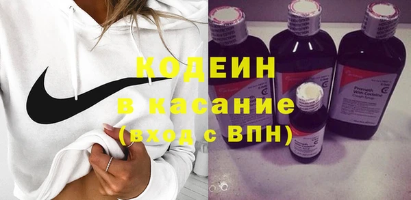 дмт Богданович