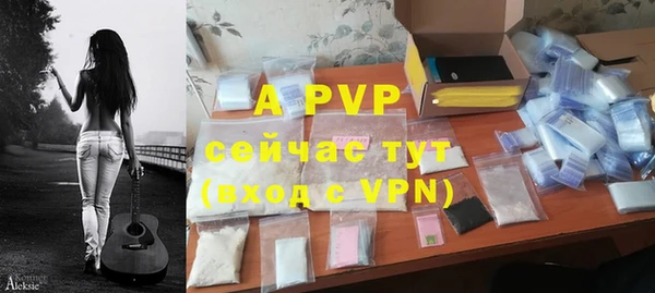 дмт Богданович