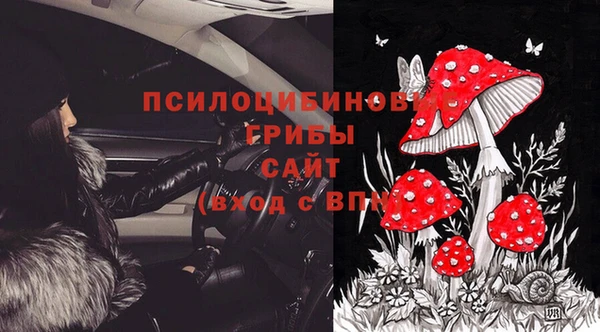 дмт Богданович