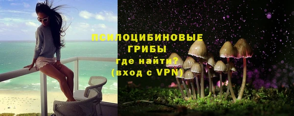 дмт Богданович